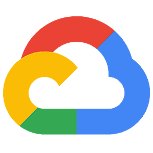 Google cloud signet 300 7d6095da3a