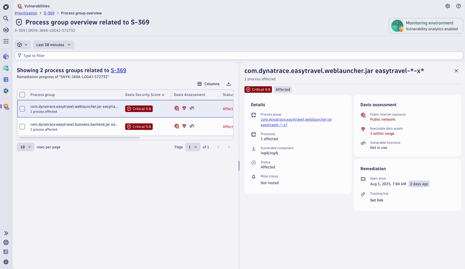 The overview page of the affected entities allows you to inspect the vulnerability impact on specific process groups and track their remediation progress.