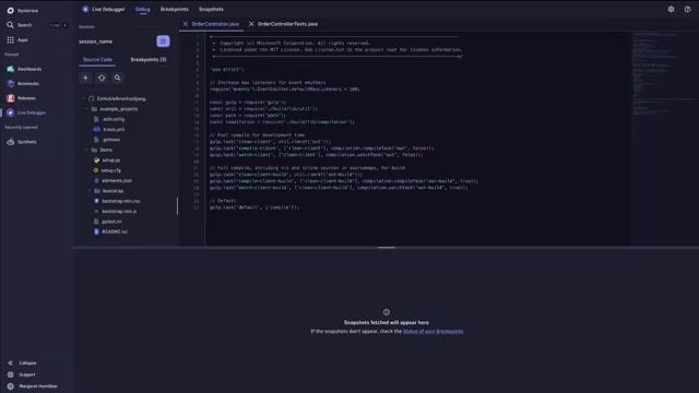 Snapshot of variables, processes, stack traces, and more from your running code