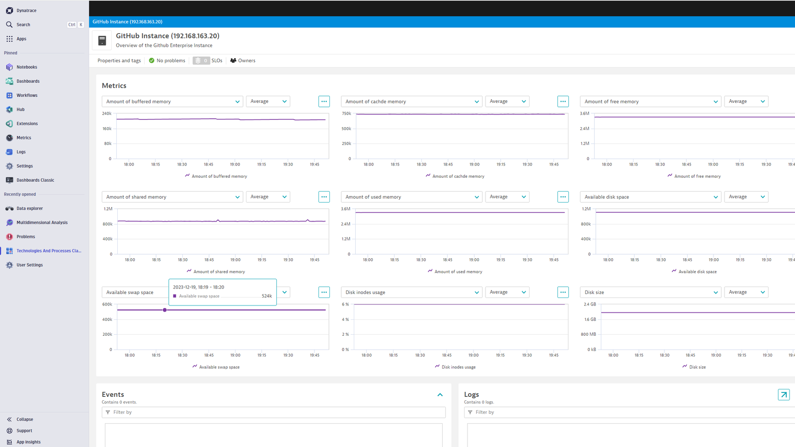 Custom GitHub Instance entity screen