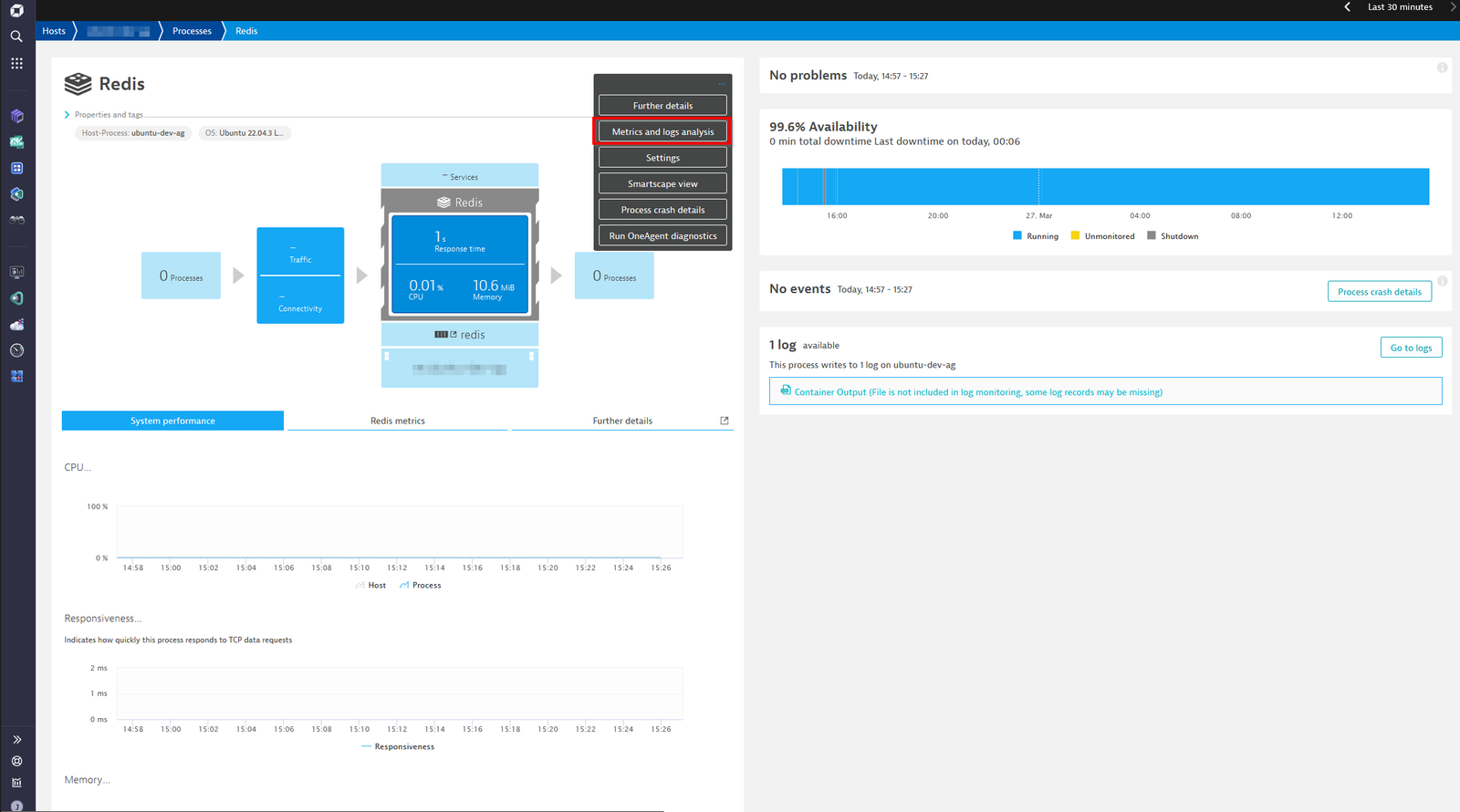 A view of the classic Redis process group instance page, highlighting the Metrics and logs analysis button used to access the Unified Analysis screen with the Redis metrics.