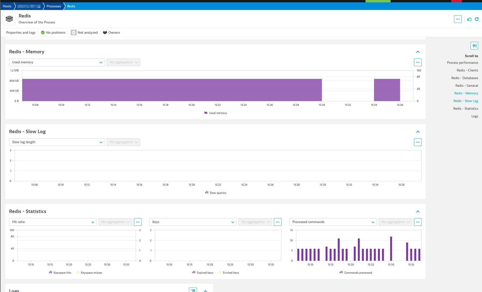 A screen showing several Redis metrics including memory, slowlog, and statistics information.