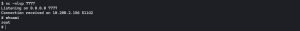 Reverse Shell